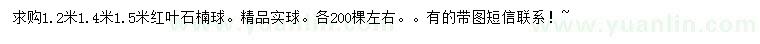 求購1.2、1.4、1.5米紅葉石楠球