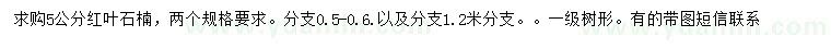 求購5公分紅葉石楠