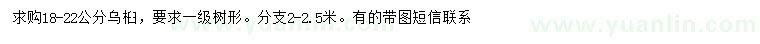 求購18-22公分烏桕