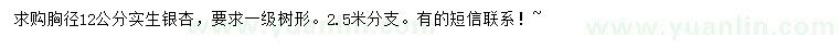 求購胸徑12公分實生銀杏