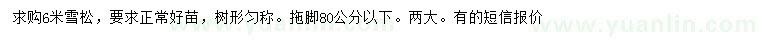 求購6米雪松