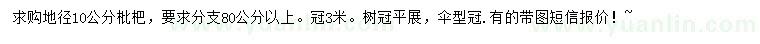 求購地徑10公分枇杷
