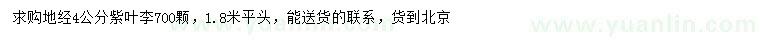 求購地徑4公分紫葉李