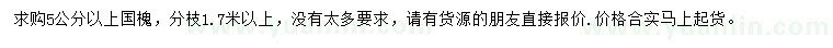 求購5公分以上國槐