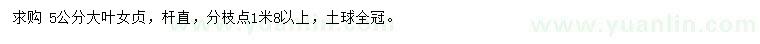 求購5公分大葉女貞