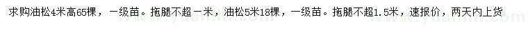 求購高4、5米油松