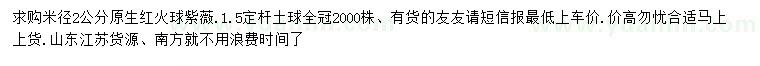 求購2公分紅火球紫薇