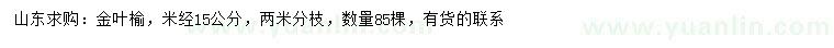 求購(gòu)米徑15公分金葉榆