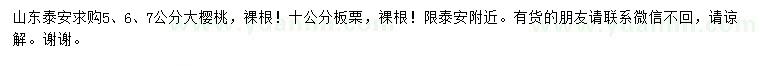 求購5、6、7公分大櫻桃、10公分板栗
