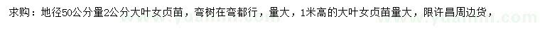 求購50公分量2公分大葉女貞