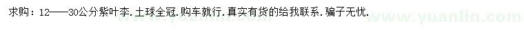 求購12-30公分紫葉李