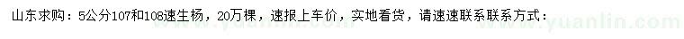 求購5公分107、108速生楊