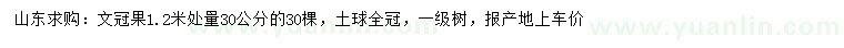 求購1.2米量30公分文冠果