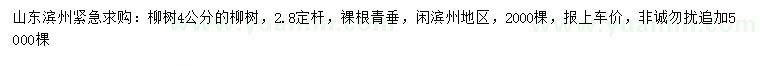 求購4公分柳樹