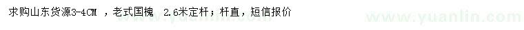 求購3-4公分老式國槐