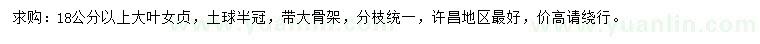 求購18公分以上大葉女貞