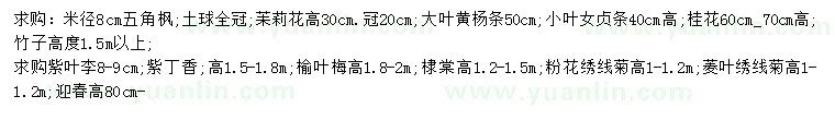 求購五角楓、苿莉花、大葉黃楊等