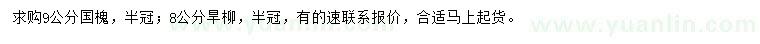 求購9公分國槐、8公分旱柳