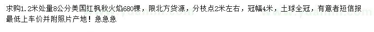 求購1.2米處量8公分美國紅楓