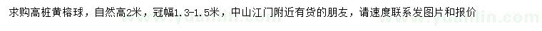 求購高2米黃榕球