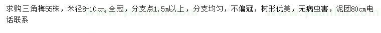 求購米徑8-10公分三角梅