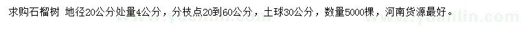 求購(gòu)20公分量4公分石榴樹(shù)