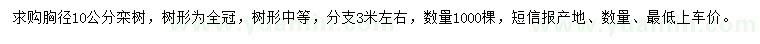 求購胸徑10公分欒樹(shù)	