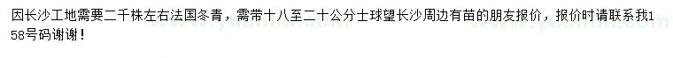 求購法國冬青