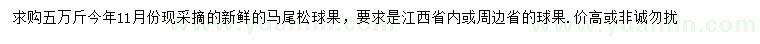 求購馬尾松球果