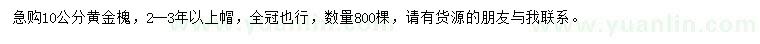 求購10公分黃金槐