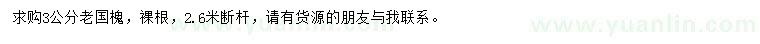 求購3公分老國槐