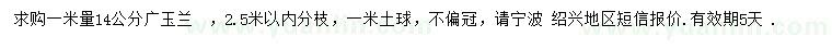 求購1米量14公分廣玉蘭