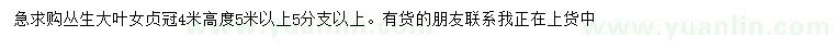 求購冠幅4米叢生大葉女貞