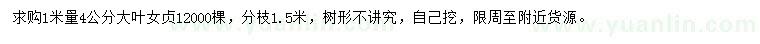求購1米量4公分大葉女貞