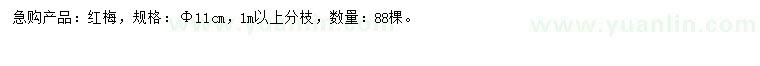 求購11公分紅梅