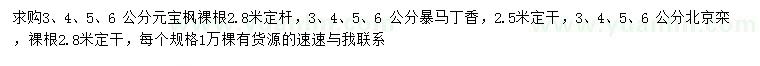 求購(gòu)元寶楓、暴馬丁香、北京欒
