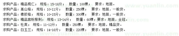 求購欖仁、高山榕、橡膠榕等