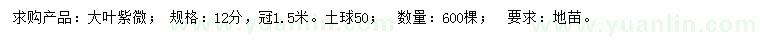 求購12公分大葉紫微