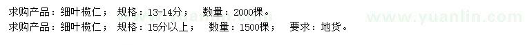 求購(gòu)13-14、15公分以上細(xì)葉欖仁