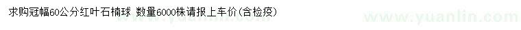 求購冠幅60公分紅葉石楠球