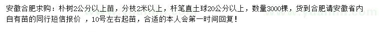 求購2公分以上樸樹(shù)