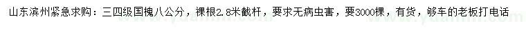 求購8公分國槐
