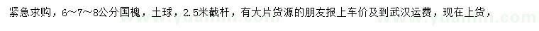 求購(gòu)6、7、8公分國(guó)槐