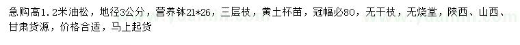 求購高1.2米油松