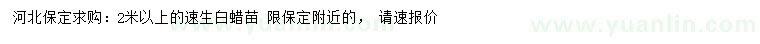求購(gòu)2米以上速生白蠟