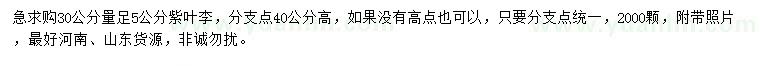 求購30公分量足5公分紫葉李