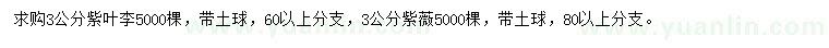 求購3公分紫葉李、紫薇