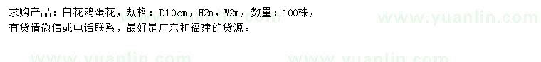 求購地徑10公分白花雞蛋花