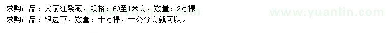 求購(gòu)高0.6-1米火箭紅紫薇、10公分銀邊草
