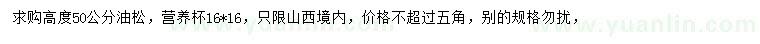 求購高50公分油松